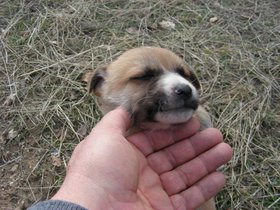 2009-0202 (odtü.JPG